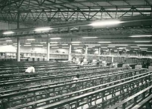 Zementfabrik, Loutété, 1965