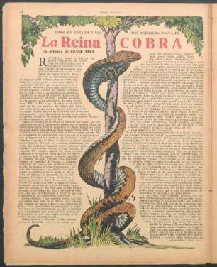 La reina cobra : Cómo he cazado vivos los animales salvajes