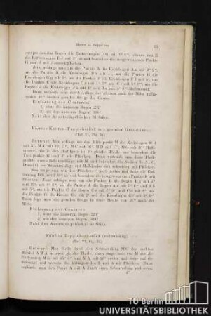 Fünftes Teppichstück (rechtwinklig). (Taf. VI, Fig. 31.)