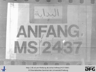 MF Mau 2437