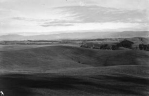 Landschaft : Landschaft bei Valdivia