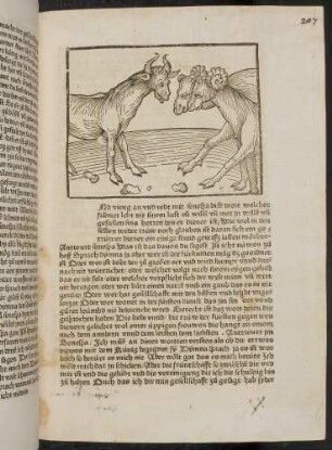 Dinma bei Senespa; (Kapitel II: Von dem Löwen und dem Ochsen)