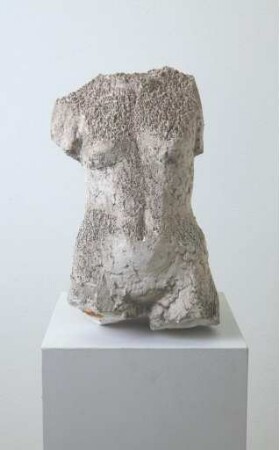 Weiblicher Torso