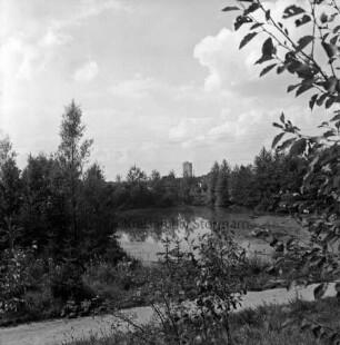 Teich: umgeben von Bäumen: vorne Wanderweg: im Hintergrund Silo