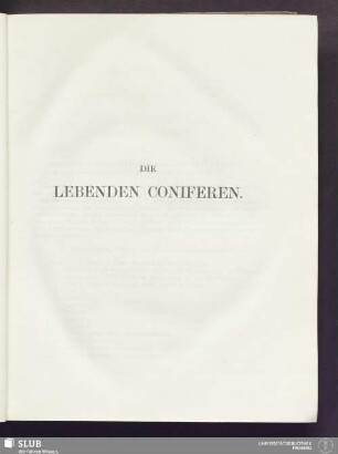 Die Lebenden Coniferen