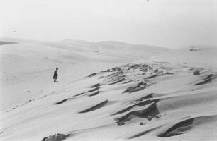 Winderosion an der Wanderdüne : Wanderdüne am Strand von Nida am kurischen Haff mit Spuren von Winderosionen.