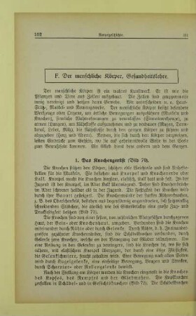 F. Der menschliche Körper, Gesundheitslehre