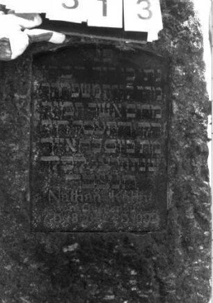 Grabstein 313 (Detailaufnahme)