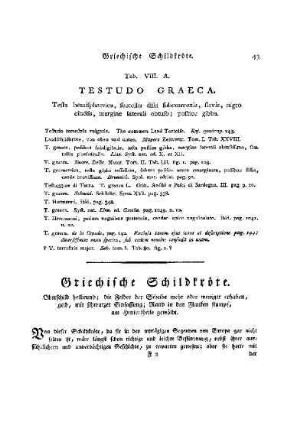 Tab. VIII. A. Testudo Graeca : Griechische Schildkröte