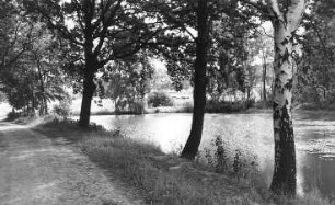 Hochkirch-Lehn. Mühlteich