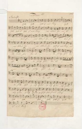 Tenore (3x)
