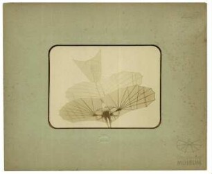 Fotografie Flugversuch Otto Lilienthals mit Doppeldecker