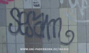 SeSam
