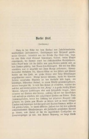Vierter Brief (Fortsetzung)