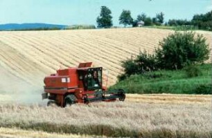Fotografie: Erntetechnik, Mähdrusch, Mähdrescher selbstfahrend