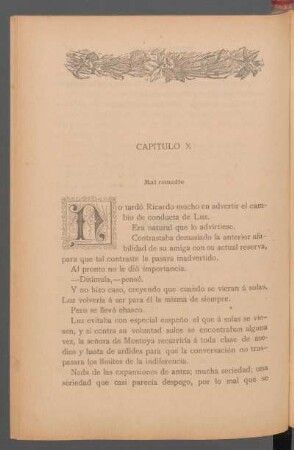 Capítulo X - Mal remedio