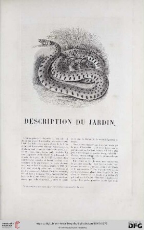 Description du jardin