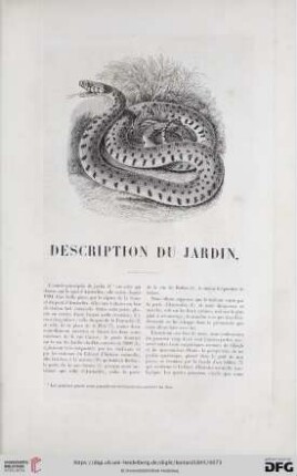 Description du jardin