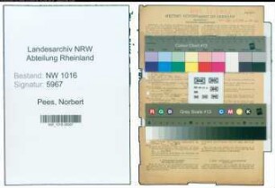 Entnazifizierung Norbert Pees , geb. 09.09.1900 (Ingenieur)