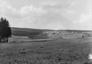 Landschaft : Blick über eine Landschaft mit Wald im Hintergrund