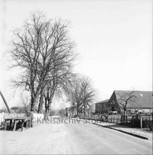Oetjendorfer Landstraße: links Milchbock: dahinter Zaun und Baumreihe: rechts Bauernhäuser mit Vorgärten: hinten Bäume