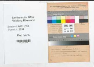 Entnazifizierung Jakob Piel , geb. 29.08.1890 (Beamter)