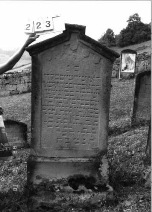 Grabstein 223