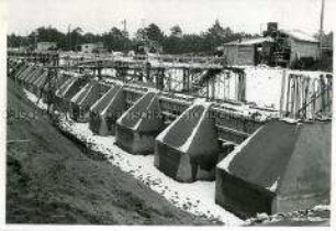 Fundament einer Werkstatthalle im Eisenhüttenkombinat Ost