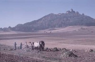 Holzhausen. Blick zur Veste Wachsenburg, im Vordergrund Pferdegespann