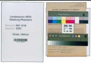 Entnazifizierung Helmut Gross , geb. 08.09.1905 (Volksschullehrer)