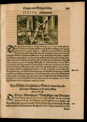 Iulius, Höwmonat.