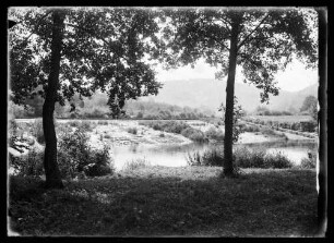 Blick durch Bäume auf Fluss (evtl. Tauber) und gegenüberliegendes Ufer