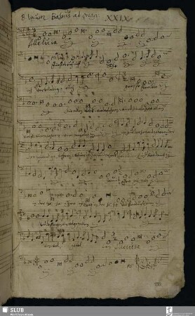 XXIX. Franck, Melchior: Alleluia fürchtet