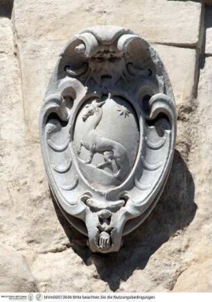 Wappen des Marcantonio Toscanella mit einem Hirsch, auf einen Hügel kletternd und Stern