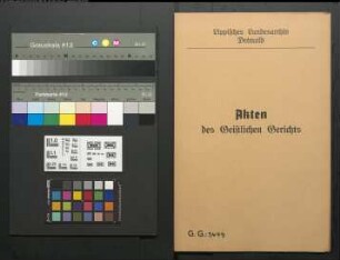 Christine Jobst Meier von Nr. 34 Sonneborn gegen Kolon Hans Herm. Strohmeier in Sonneborn, Eheklage