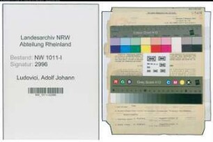 Entnazifizierung Adolf Johann Ludovici , geb. 05.08.1899 (Regierungsgewerberat)