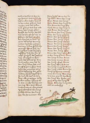 Kolorierte Federzeichnung: Hund und Ziegenbock (ohne Textbezug)
