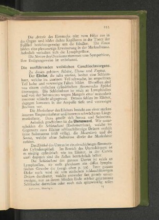 Die ausführenden weiblichen Geschlechtsorgane.