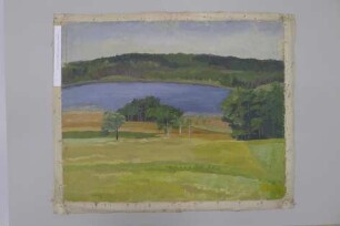 Hügellige Landschaft mit See