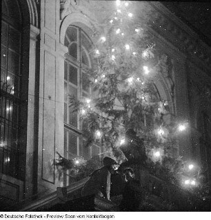 Weihnachtsbaum