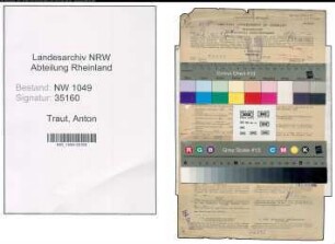 Entnazifizierung Anton Traut , geb. 10.06.1908 (Regierungsrat)