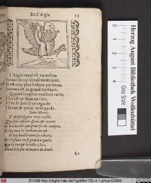 De L´Aigle.