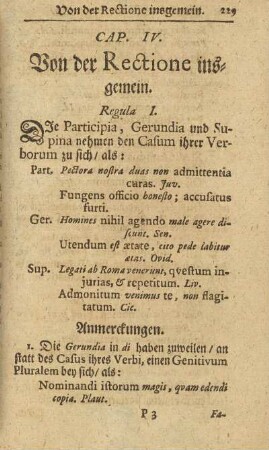 Cap. IV. Von der Rectione insgemein.