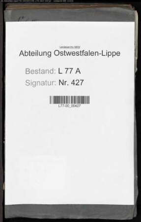 Anstellung der Justizamtmänner, Amtsschreiber, Assessoren und Auditoren beim Amt Varenholz, Bd. 4