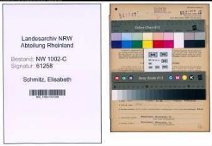 Entnazifizierung Elisabeth Schmitz, geb. 26.07.1908 (Geschaeftsfuehrerin)