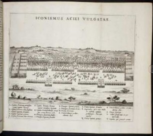 Iconismus Aciei Vulgatae