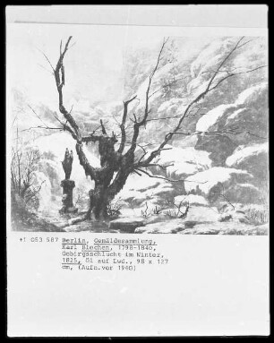 Gebirgsschlucht im Winter