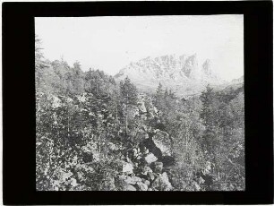 überwachsener Bergsturz, im Hintergrund schroffes Bergmassiv