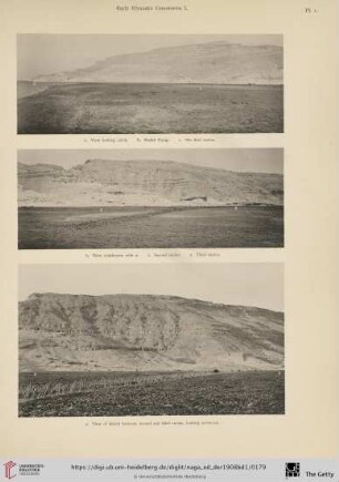 Plate 1-79