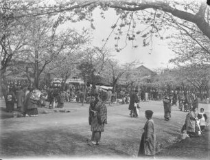 Hanami : Männer und Frauen unter blühenden Kirschbäumen